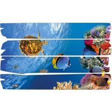 Renkselart Deniz Kaplumbağası Mdf Tablo 1765 (Model E)