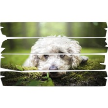 Renkselart Köpek Mdf Tablo 2654 (Model E)