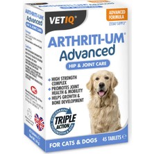Vetiq Arthriti-Um Hip&joint Care Köpek Eklem ve Kemik Sağlığı Destekle