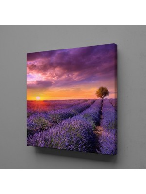 Technopa Sümbül Tarlası 150X150CM