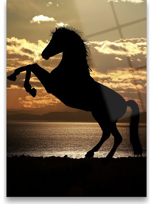 Glass Art Concept At Silüeti Cam Tablo