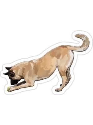 Universal Belçika Malinois Ve Ezilmiş Tenis Topu Sticker Araba Oto Arma Duvar Sticker Ev Dekoratif Çıkartma
