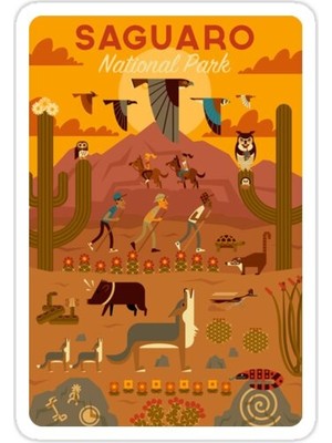 Universal Saguaro Milli Parkı Arizona Seyahat  Poster Sticker Araba Oto Arma Duvar Sticker
