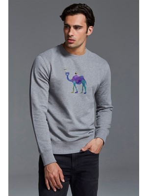 Qivi Camel Piramitleri Dromedary Deve Çöl Çizim Baskılı Gri Erkek Örme Sweatshirt Uzun Kol