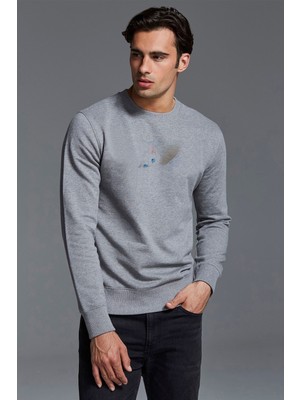 Qivi Blue Eyed Cats Kedi Baskılı Gri Erkek Örme Sweatshirt Uzun Kol