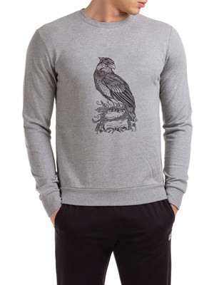 Qivi Kafatası Resimde Tıraşlama Gri Kuş Yırtıcı Baskılı Gri Erkek Örme Sweatshirt Uzun Kol