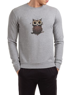 Qivi Owl For Computers 2 Baskılı Gri Erkek Örme Sweatshirt Uzun Kol