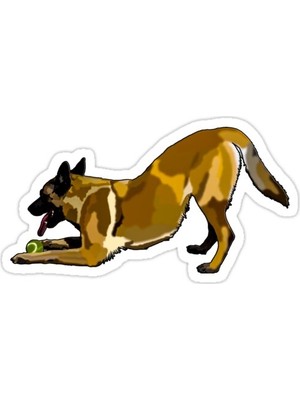 Universal Belçika Malinois Sticker Araba Oto Arma Duvar Sticker Ev Dekoratif Çıkartma 15 Cm