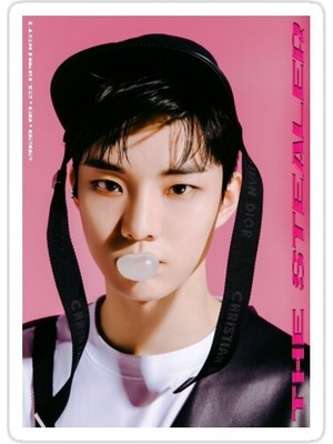 Universal Boyz Q Sticker Araba Oto Arma Duvar Sticker Ev Dekoratif Çıkartma 15 Cm