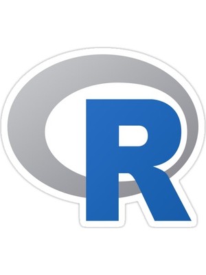 Universal R  Sticker Araba Oto Arma Duvar Sticker Ev Dekoratif Çıkartma 15 Cm