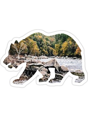 Universal Doodled Ayı Sticker Araba Oto Arma Duvar Sticker Ev Dekoratif Çıkartma 15 Cm