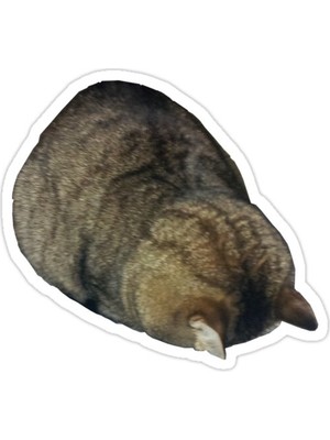 Universal Kat Sticker Araba Oto Arma Duvar Sticker Ev Dekoratif Çıkartma 15 Cm
