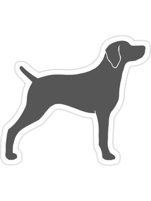 Universal Weimaraner Siluet Sticker Araba Oto Arma Duvar Sticker Ev Dekoratif Çıkartma 15 Cm