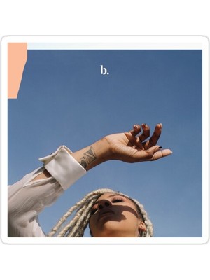 Universal Bosco Sticker Araba Oto Arma Duvar Sticker Ev Dekoratif Çıkartma 15 Cm