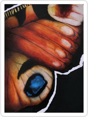 Universal Dinlenme Kanadı Sticker Araba Oto Arma Duvar Sticker Ev Dekoratif Çıkartma 15 Cm