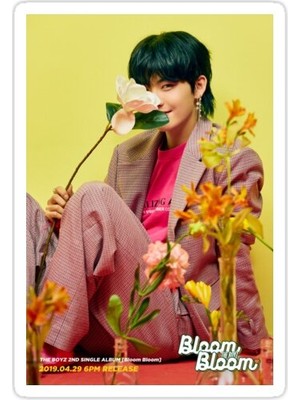 Universal Boyz Hwall Sticker Araba Oto Arma Duvar Sticker Ev Dekoratif Çıkartma 15 Cm