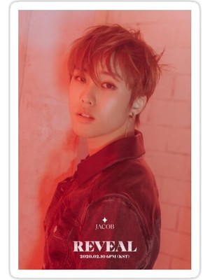 Universal Boyz Jacob Sticker Araba Oto Arma Duvar Sticker Ev Dekoratif Çıkartma 15 Cm