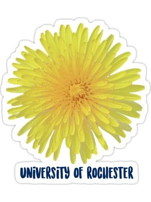 Universal Rochester Üniversitesi Sticker Araba Oto Arma Duvar Sticker Ev Dekoratif Çıkartma 15 Cm