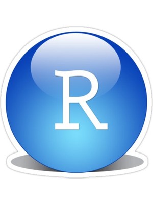 Universal Rstudio Logo Sticker Araba Oto Arma Duvar Sticker Ev Dekoratif Çıkartma 15 Cm