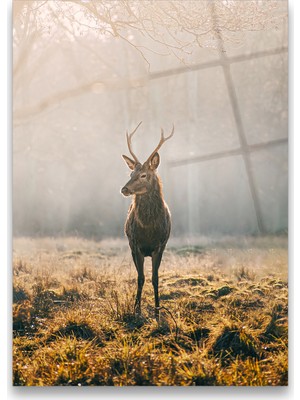 Glass Art Concept Geyik Cam Tablo