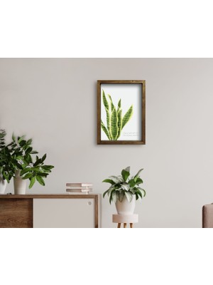 Bk Gift Doğal Masif Ahşap Çerçeveli Tablo 45X65CM-3