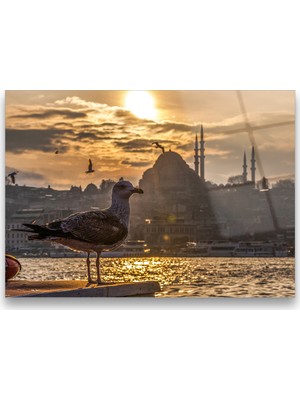 Glass Art Concept Kuş ve Istanbul Cam Tablo