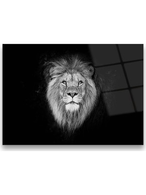Glass Art Concept Aslan Cam Tablo