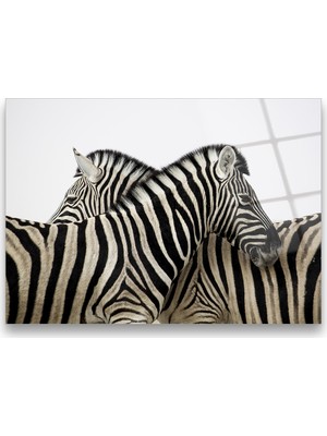 Glass Art Concept Zebralar Cam Tablo