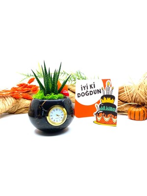 Mega Kanyon Saatli Özel Tasarım Canlı Sukulentli Gerçek Doğal Mermer Saksı Aranjmanı M10