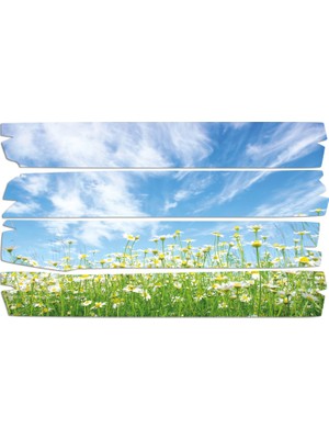 Renkselart Papatya Mdf Tablo 0819 (Model E)