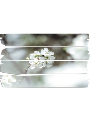 Renkselart Bahar Çiçekleri Mdf Tablo 0773 (Model E)