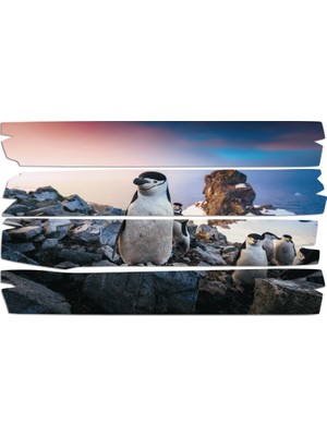 Renkselart Penguen Mdf Tablo 1861 (Model E)