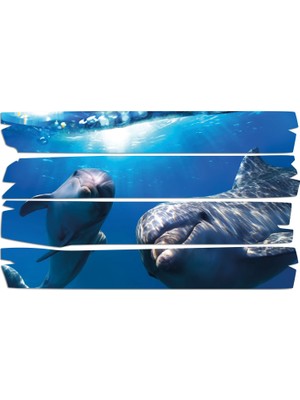 Renkselart Yunus Balığı Mdf Tablo 1848 (Model E)