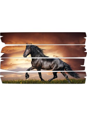 Renkselart At Mdf Tablo 2375 (Model E)