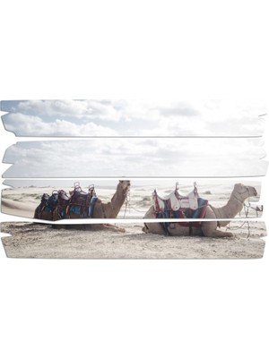 Renkselart Deve Mdf Tablo 2400 (Model E)