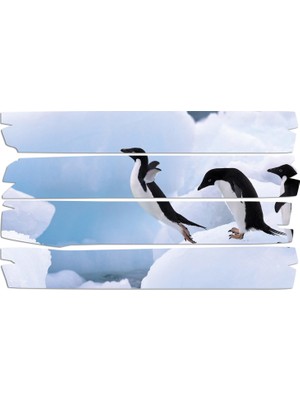 Renkselart Penguen Mdf Tablo 1856 (Model E)