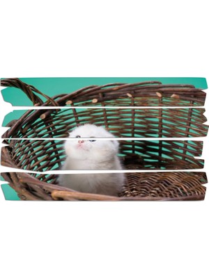 Renkselart Kedi Mdf Tablo 2580 (Model E)