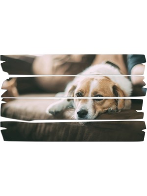 Renkselart Köpek Mdf Tablo 2650 (Model E)