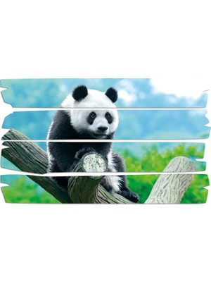 Renkselart Panda Mdf Tablo 2679 (Model E)