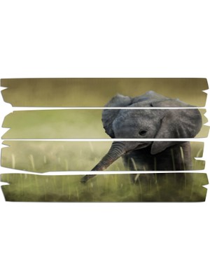 Renkselart Fil Mdf Tablo 2435 (Model E)