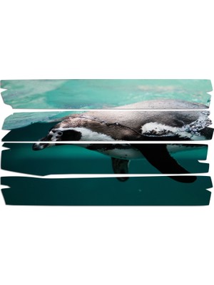 Renkselart Penguen Mdf Tablo 1858 (Model E)