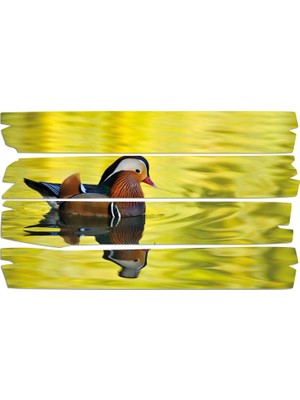 Renkselart Ördek Mdf Tablo 2714 (Model E)