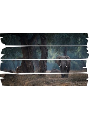 Renkselart Fil Mdf Tablo 2430 (Model E)