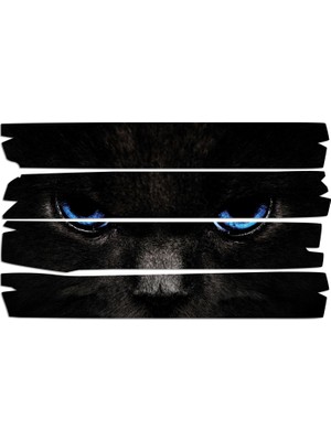 Renkselart Kedi Mavi Gözler Mdf Tablo 2950 (Model E)