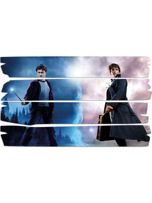 Renkselart Harry Potter Mdf Tablo 2991 (Model E)