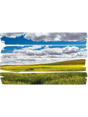 Renkselart Doğa Manzara Mdf Tablo 3352 (Model E)