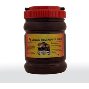 Güzelçamlı Arıcılar Kooperatifi Süzme Çam Balı 1000 gr