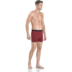321 Boxer