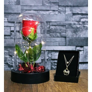 Hediye Filesi Fanusta Işıklı Kırmızı Gül Kolye Seti  Şeffaf Mika Fanus
