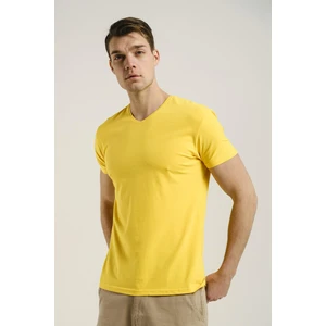 Riley V Yaka Slim Fit Basic Erkek Tshirt